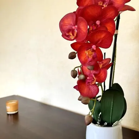 Lägenhet Proche De L'hyper-centre Avec Garage Caen